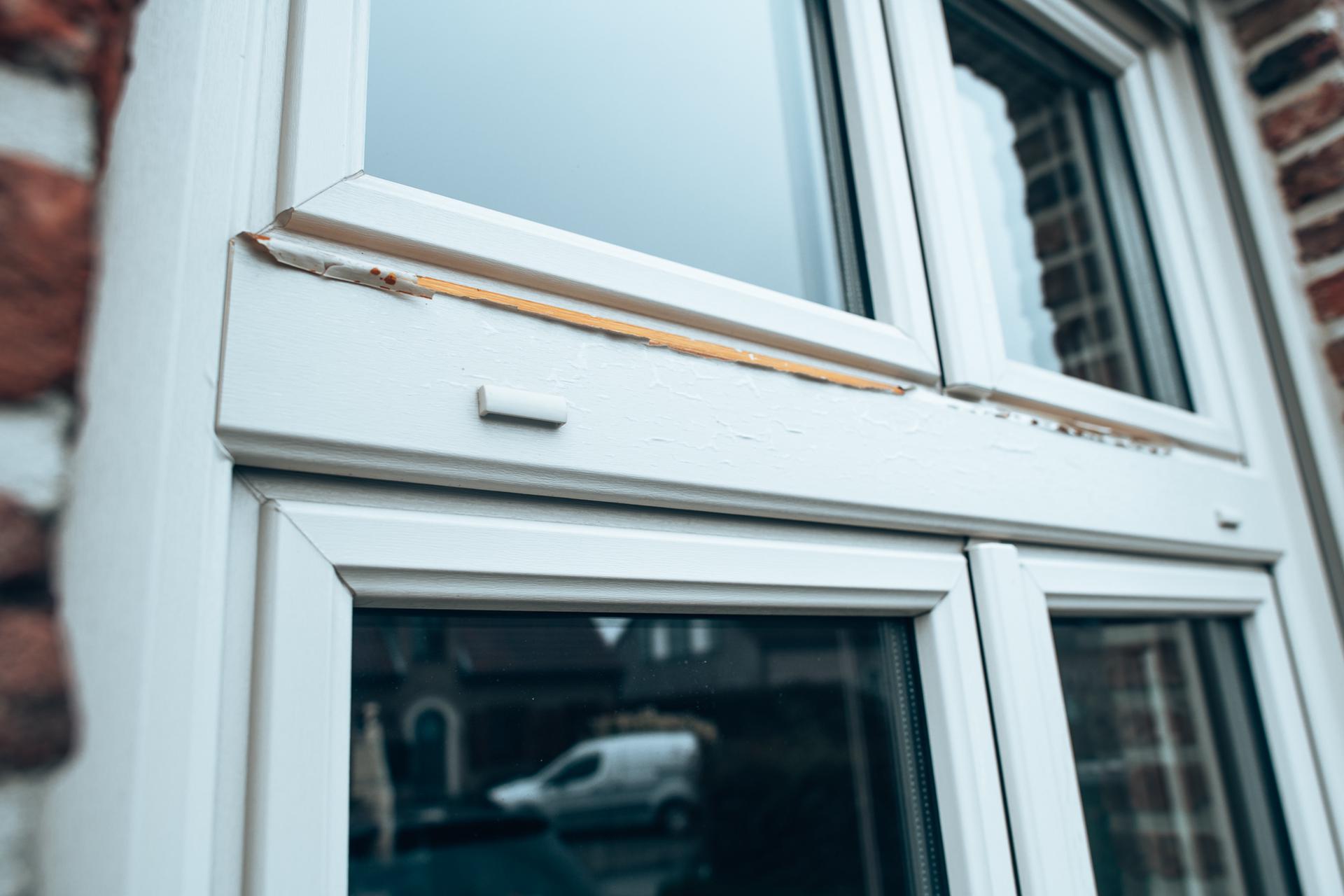 b2b940d7-695e-471f-926f-ee9b03c102ce